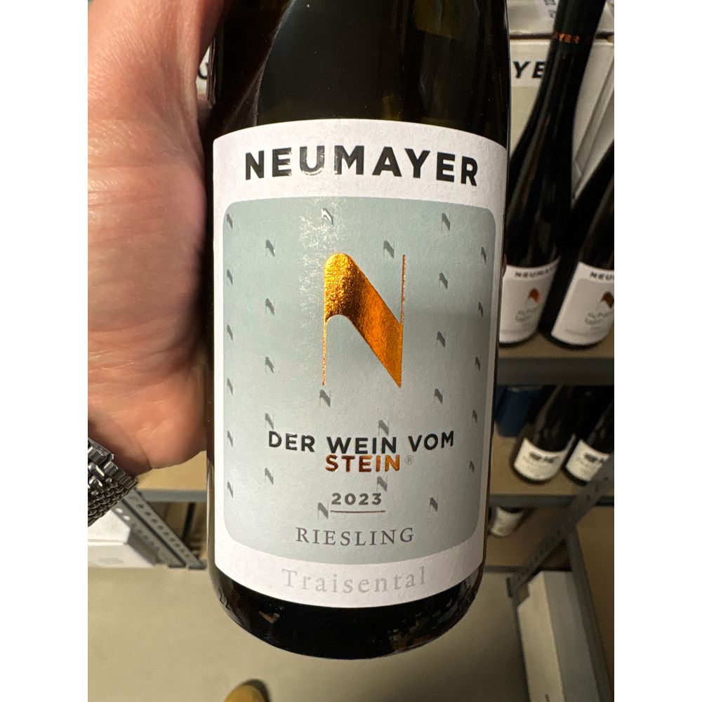 Riesling "Der Wein vom Stein" 2023