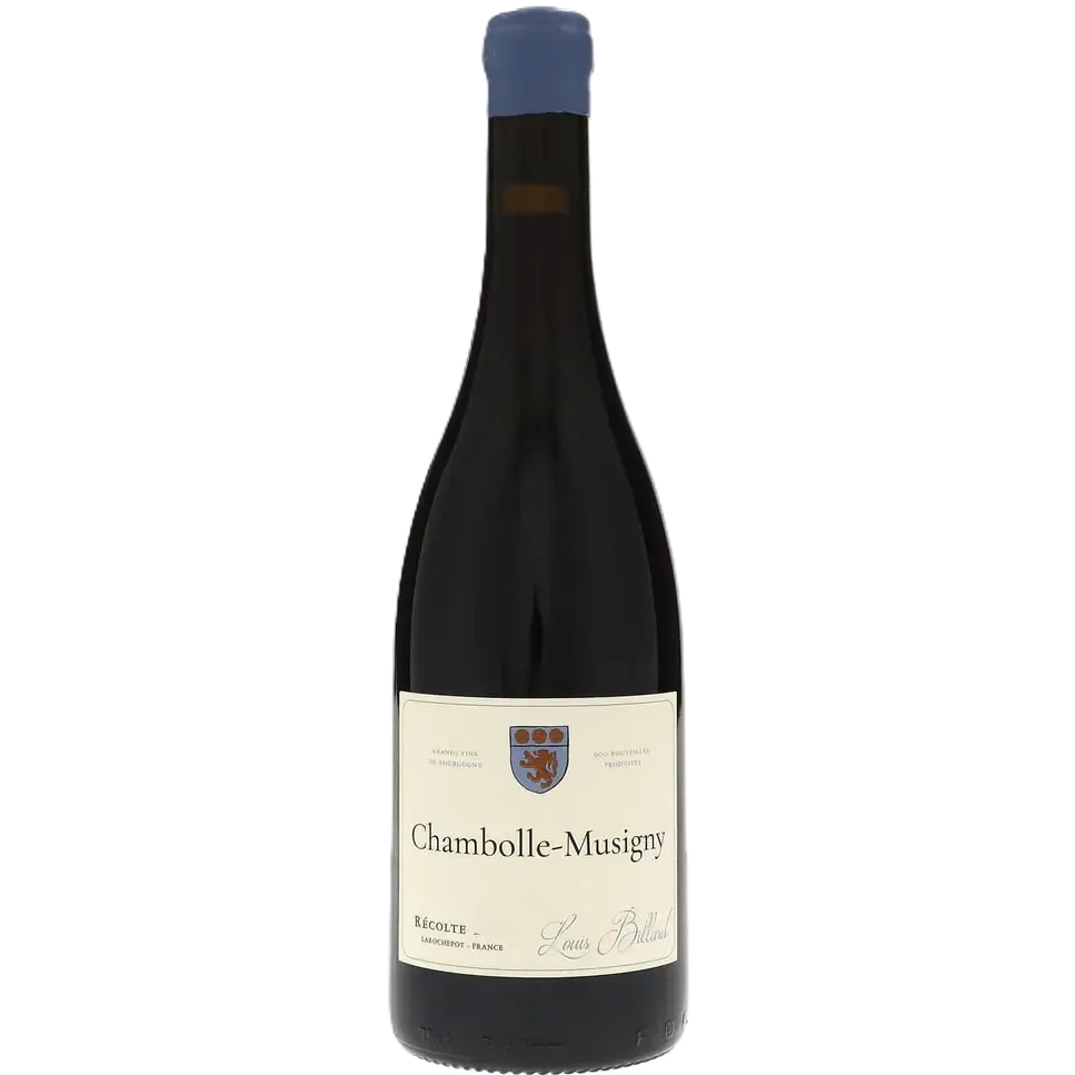 Chambolle-Musigny 2024