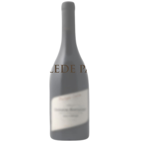 Bourgogne Pinot Noir 2016