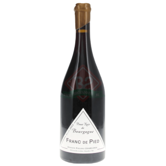 Franc de Pied Pinot Noir de Bourgogne 2023