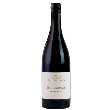 Bourgogne Pinot Noir 2023