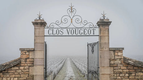 Bourgognes historie