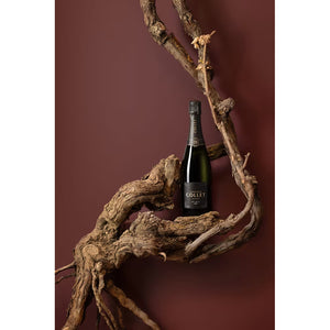 Champagne Collet, Brut 1. Cru "Art Deco"