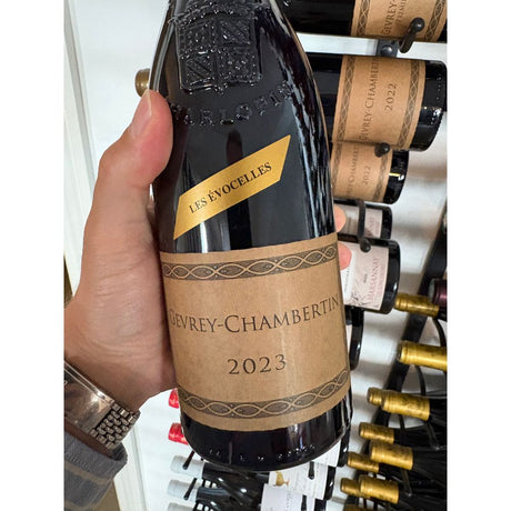 Gevrey-Chambertin "Les Evocelles" 2023