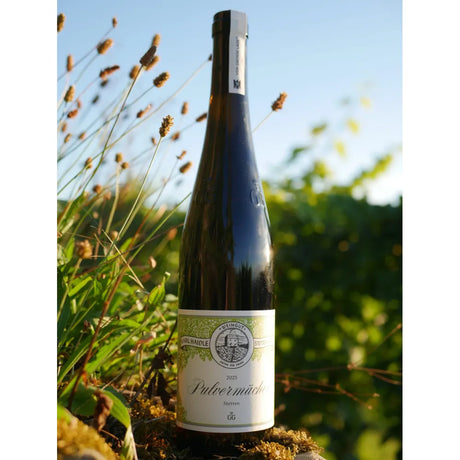 Riesling GG "Pulvermächer" 2023