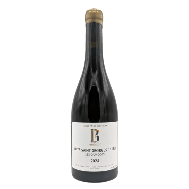 Nuits Saint Georges 1. Cru "Les Damodes" 2023