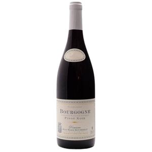 Bourgogne Côte d'Or Pinot Noir 2024