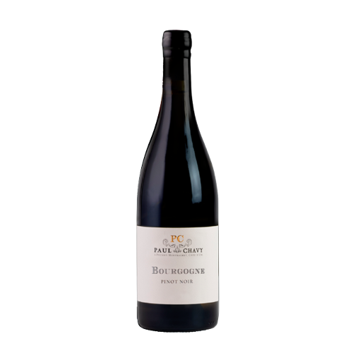 Bourgogne Pinot Noir 2023