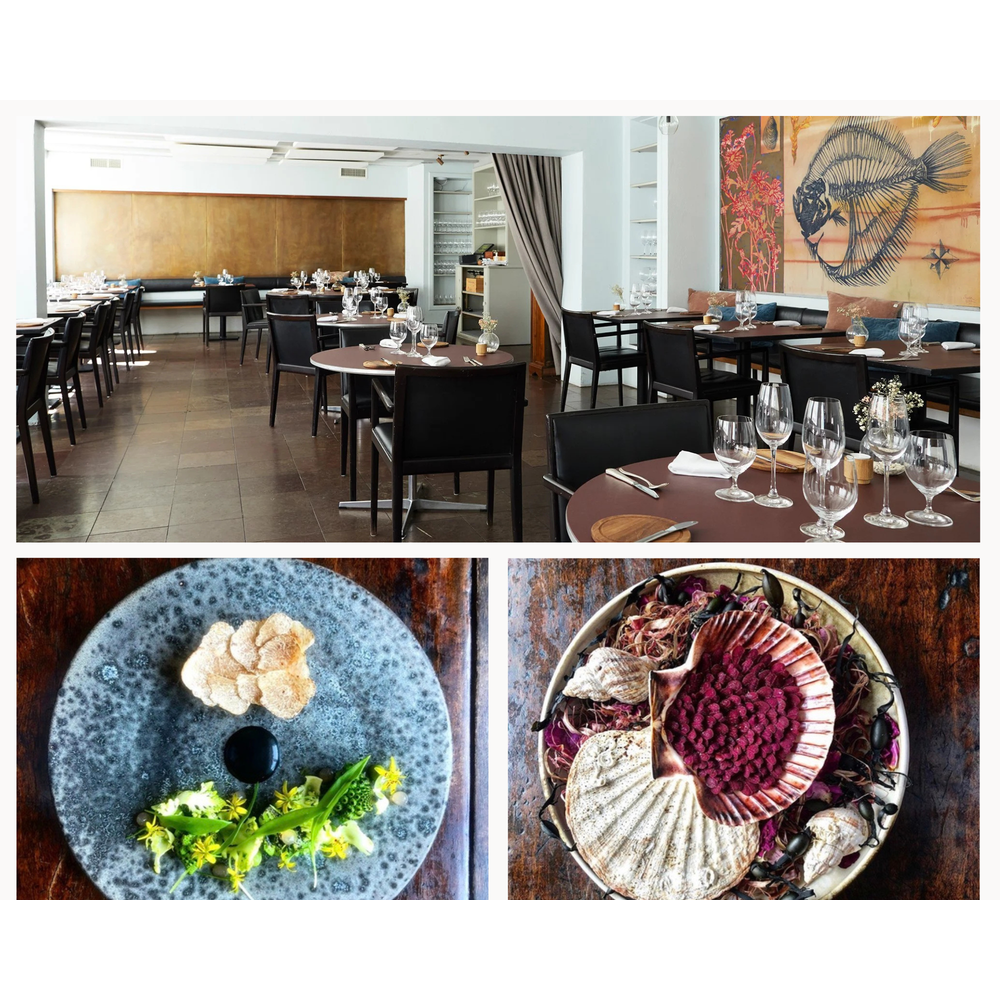 Winemakers dinner med Champagne Collet på Pescatarian torsdag d. 18 Juni kl. 18.00