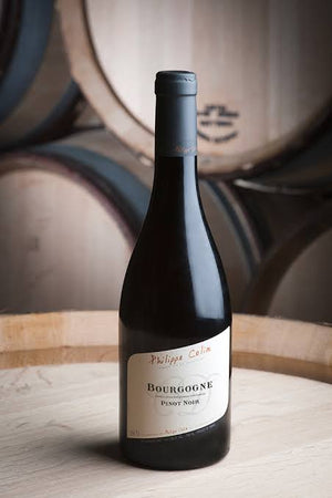 Bourgogne Pinot Noir 2023